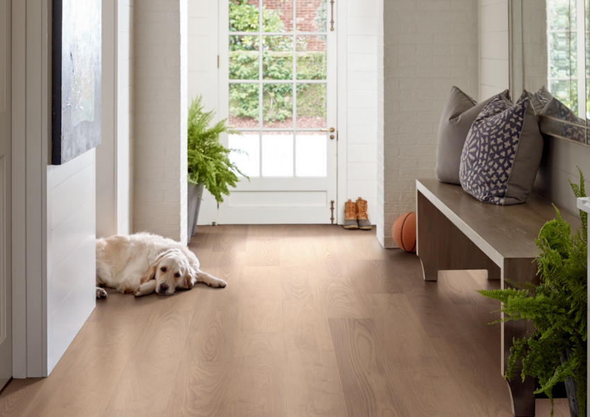 warm tone luxury vinyl plank flooring in hallway with dog laying down.